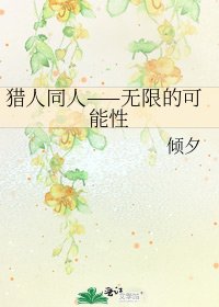 猎人同人——无限的可能性